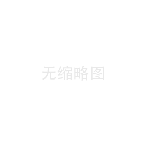 C330平板夯實機